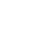 flag icon